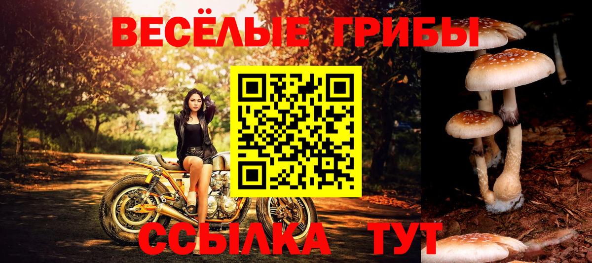 Меф Семёнов