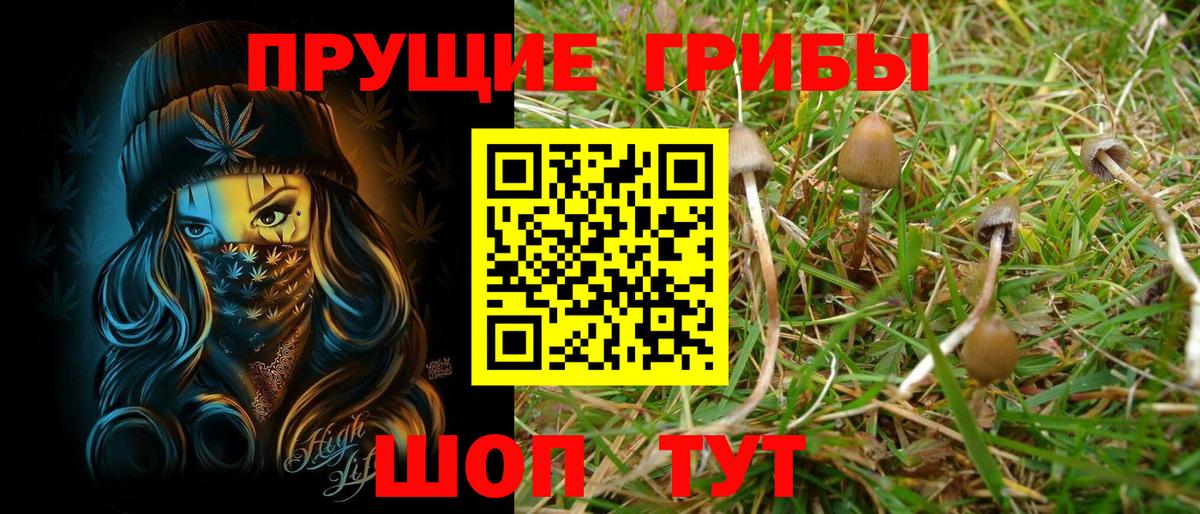 Семёнов  Галлюциногенные грибы Cubensis  Вход с VPN 