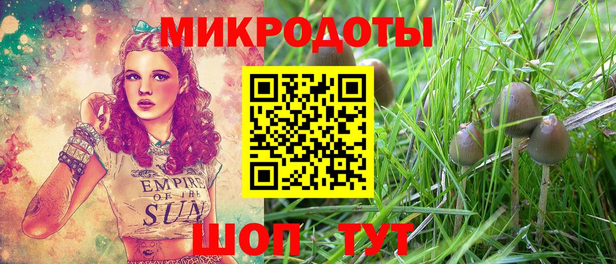 Псилоцибиновые грибы Cubensis Семёнов